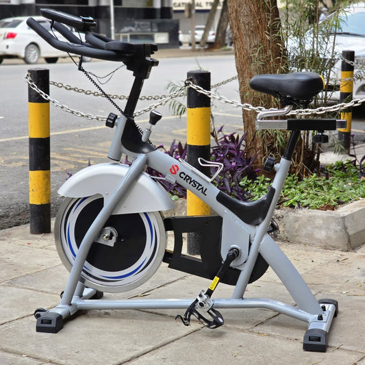 Heavy Duty Domestic Spin Bike (Crystal / Ancheer SJ-3373)